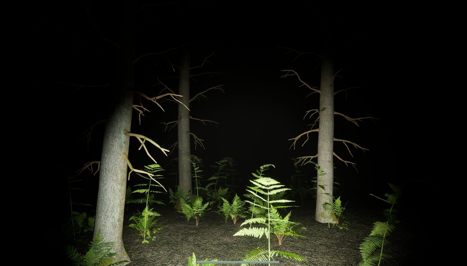 Forest section in darkness